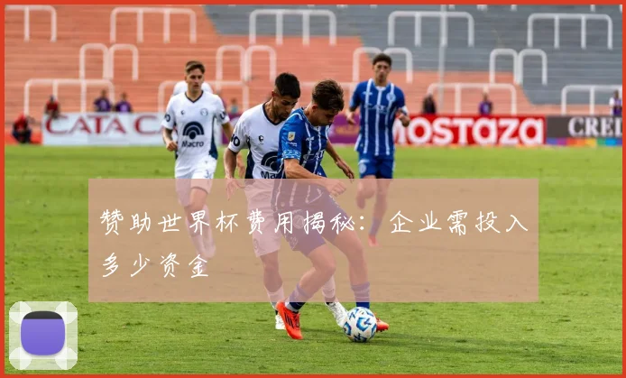 赞助世界杯费用揭秘：企业需投入多少资金
