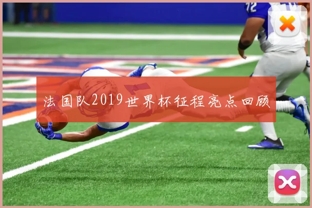 法国队2019世界杯征程亮点回顾