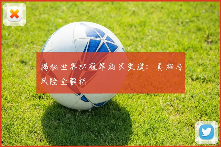 揭秘世界杯冠军购买渠道：真相与风险全解析