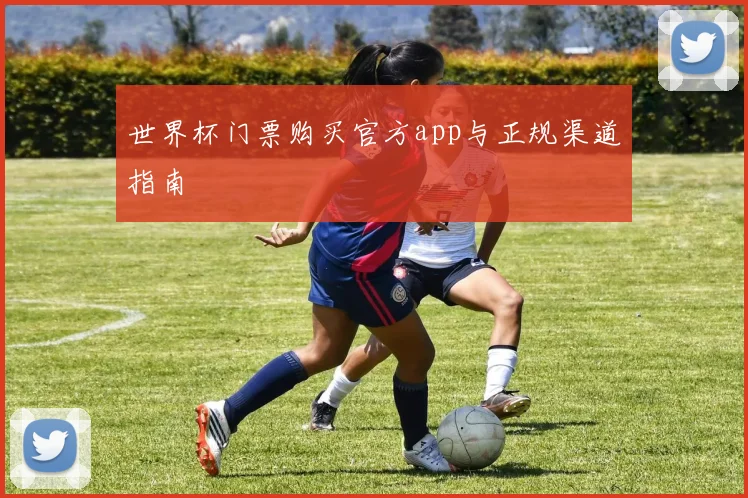 世界杯门票购买官方app与正规渠道指南
